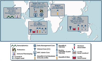 Clinical Protocol for a Longitudinal Cohort Study Employing Systems Biology to Identify Markers of Vaccine Immunogenicity in Newborn Infants in The Gambia and Papua New Guinea